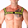 Kétpántos Hám MACHO UNDERWEAR