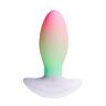Vibrátor Paradise Pleasure Products The Plug RGB világítással