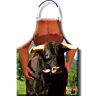 Kövény DIABLO PICANTE BULL APRON szórakoztató és erotikus illusztrációkkal