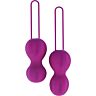 Bolas Nomi Tang IntiMate Plus hüvelyi edzéshez