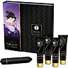 Szexjáték Shunga Naughty Geisha Kit - Élvezetek felfedezése