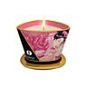 Masszázsgyertya SHUNGA MINI CARESS 170 ml