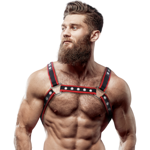 Hám FETISH SUBMISSIVE ATTITUDE - Férfi Eco-bőr Hám