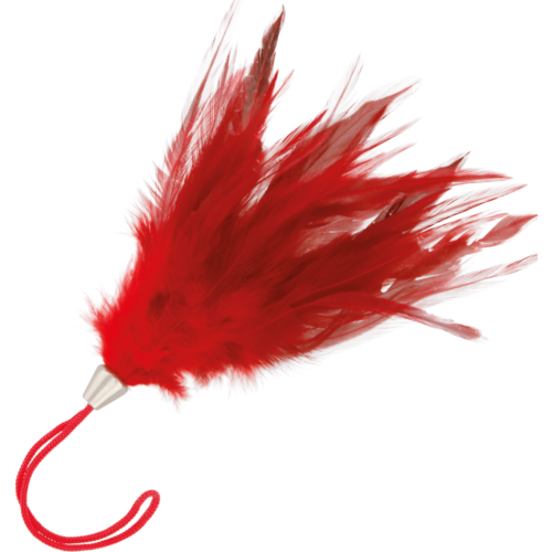 Bondage DARKNESS RED STIMULATING PEN 17CM