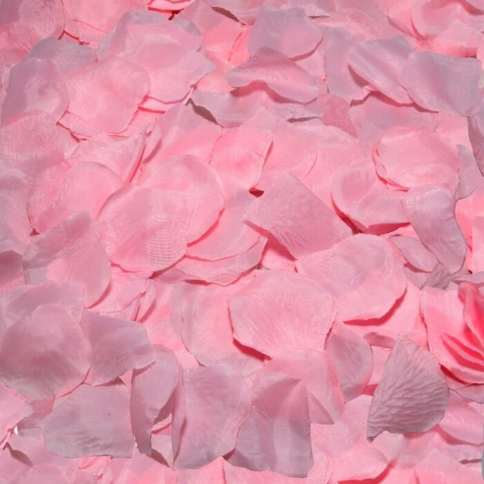 100 petalos color rosa